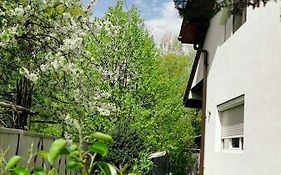 Casa File de Poveste